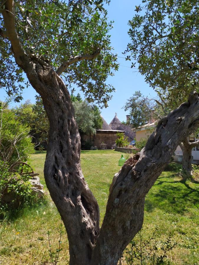 Willa Trullo Galeotto Martina Franca Zewnętrze zdjęcie