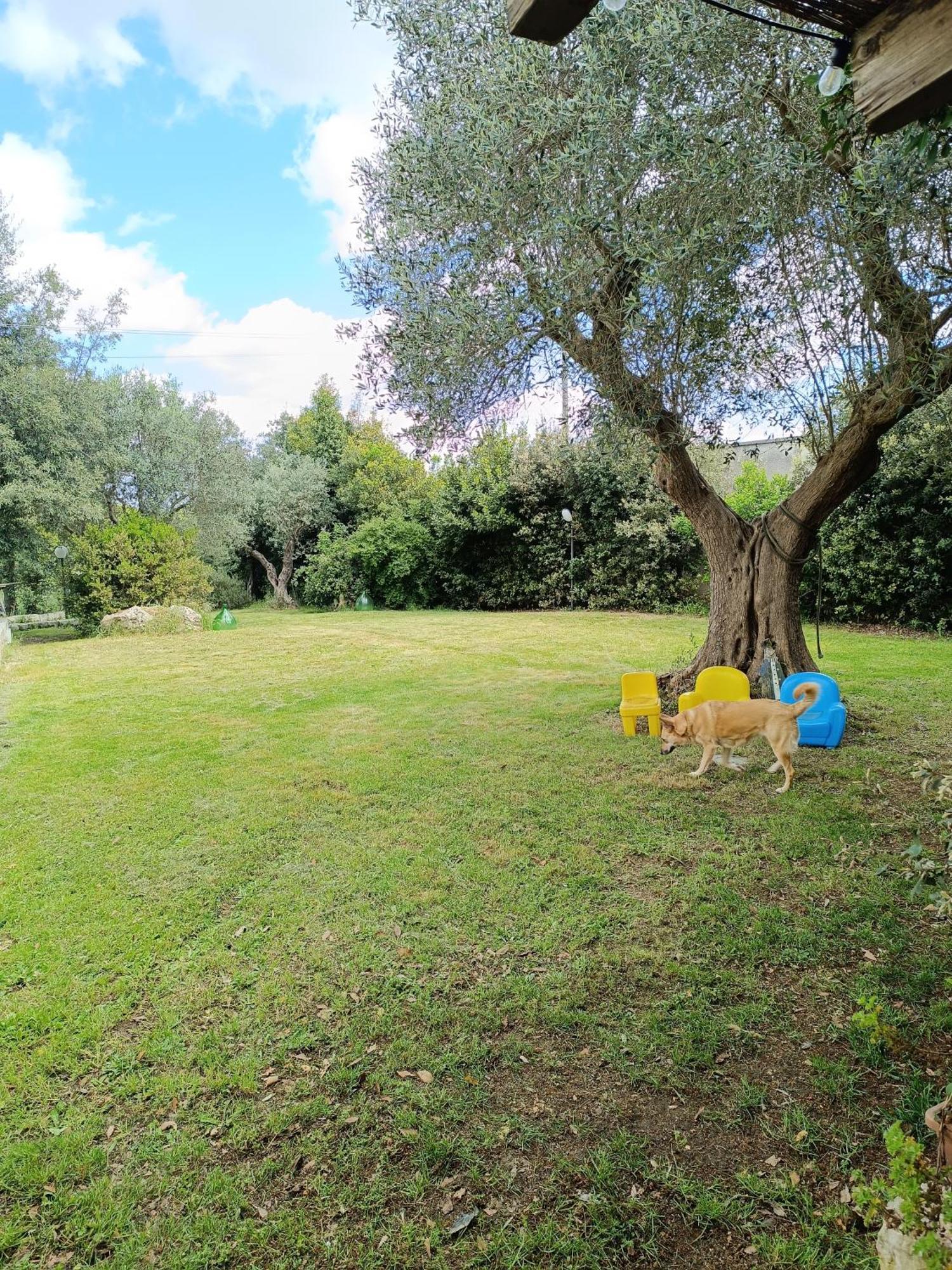 Willa Trullo Galeotto Martina Franca Zewnętrze zdjęcie