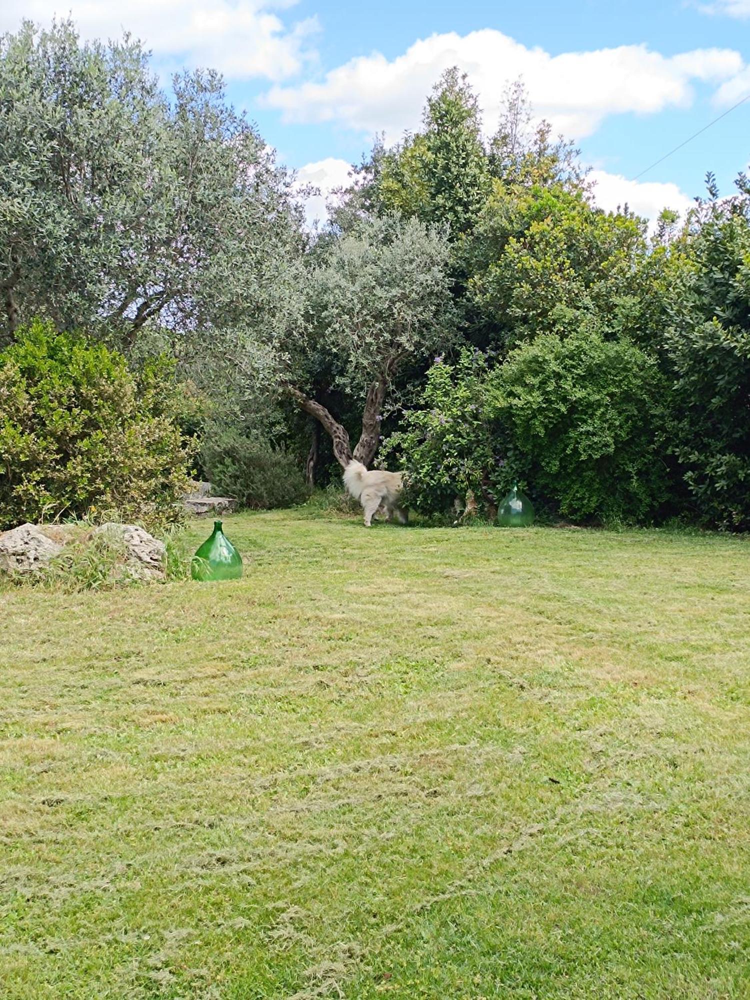 Willa Trullo Galeotto Martina Franca Zewnętrze zdjęcie